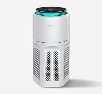 Large Air Purifier